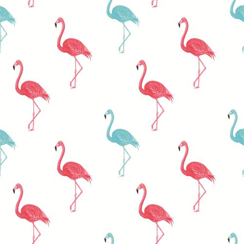 flamingo